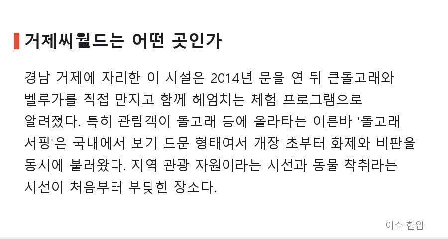 거제씨월드 돌고래 서핑, '당장 폐쇄'라는 외침 뒤에 남은 질문들 - 3/8