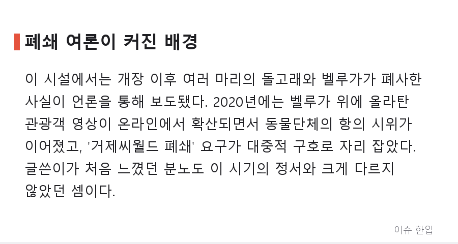 거제씨월드 돌고래 서핑, '당장 폐쇄'라는 외침 뒤에 남은 질문들 - 4/8