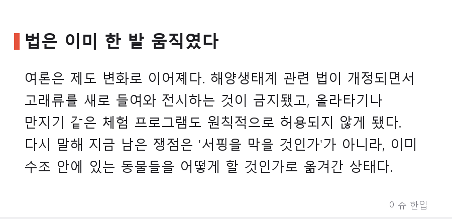 거제씨월드 돌고래 서핑, '당장 폐쇄'라는 외침 뒤에 남은 질문들 - 5/8