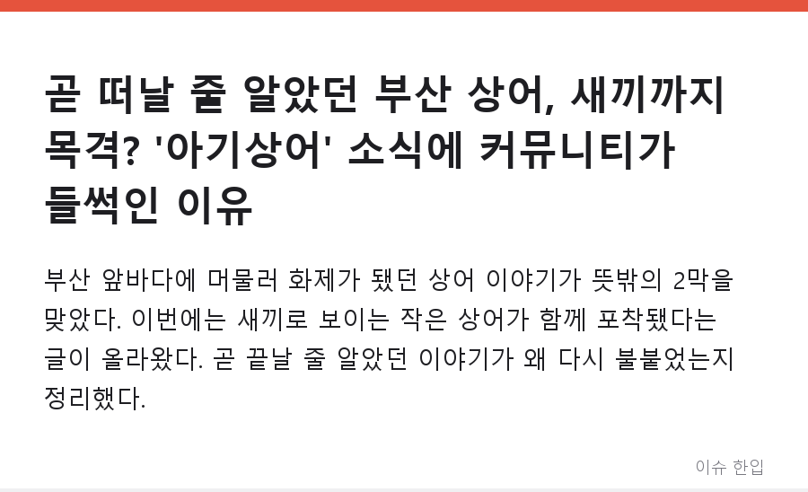 곧 떠날 줄 알았던 부산 상어, 새끼까지 목격? '아기상어' 소식에 커뮤니티가 들썩인 이유 - 1/7