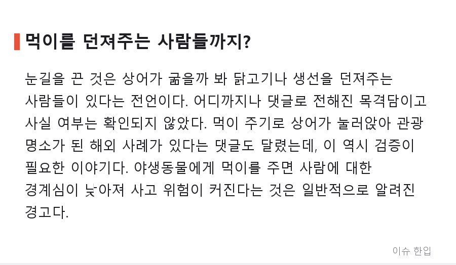 곧 떠날 줄 알았던 부산 상어, 새끼까지 목격? '아기상어' 소식에 커뮤니티가 들썩인 이유 - 5/7