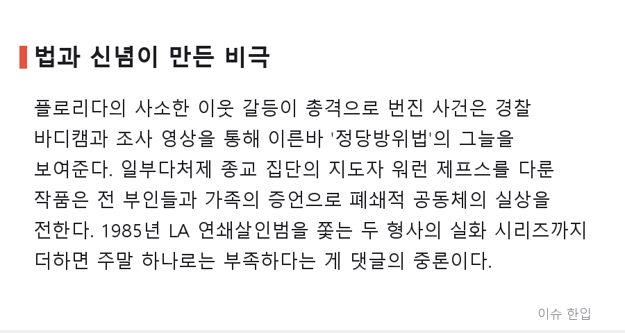 더쿠에서 574명이 공감한 '한번 틀면 밤새는' 넷플릭스 범죄 다큐 추천 리스트 - 7/8