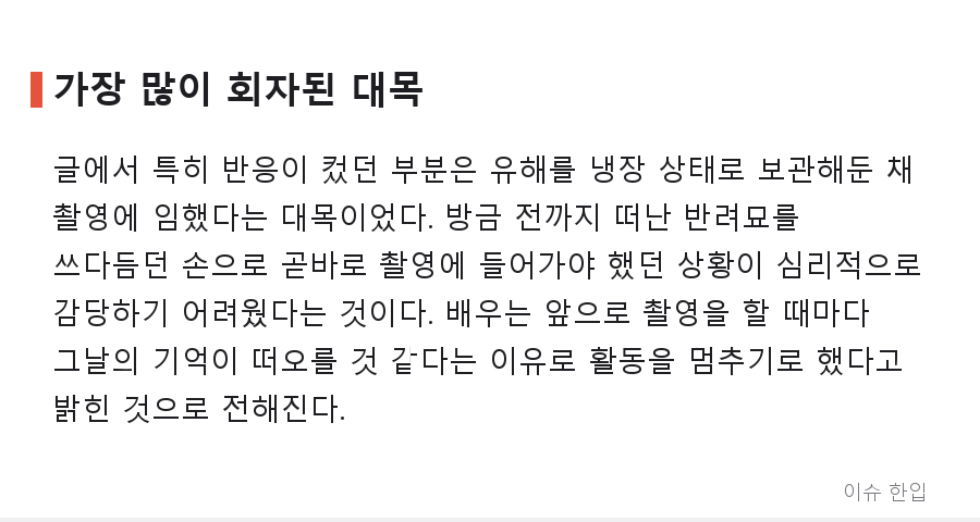 반려묘 유해를 냉장고에 둔 채 촬영장으로: 한 일본 배우의 활동 중단 소식이 남긴 질문 - 3/8