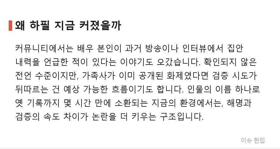 배우 하영 증조부 논란, 소속사가 "사실무근" 밝혔는데도 논쟁이 이어지는 이유 - 7/8