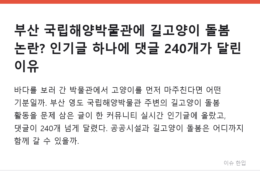 부산 국립해양박물관에 길고양이 돌봄 논란? 인기글 하나에 댓글 240개가 달린 이유 - 1/8