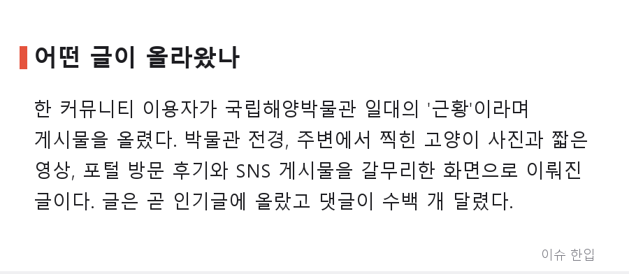 부산 국립해양박물관에 길고양이 돌봄 논란? 인기글 하나에 댓글 240개가 달린 이유 - 2/8