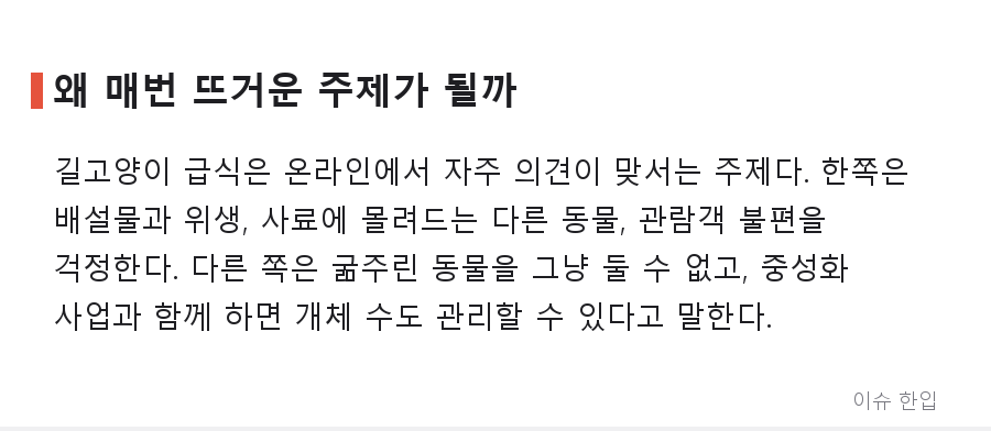 부산 국립해양박물관에 길고양이 돌봄 논란? 인기글 하나에 댓글 240개가 달린 이유 - 4/8