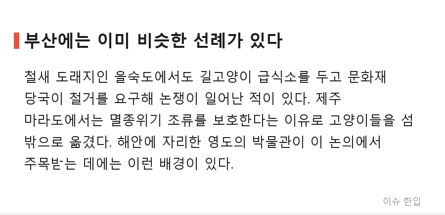 부산 국립해양박물관에 길고양이 돌봄 논란? 인기글 하나에 댓글 240개가 달린 이유 - 5/8