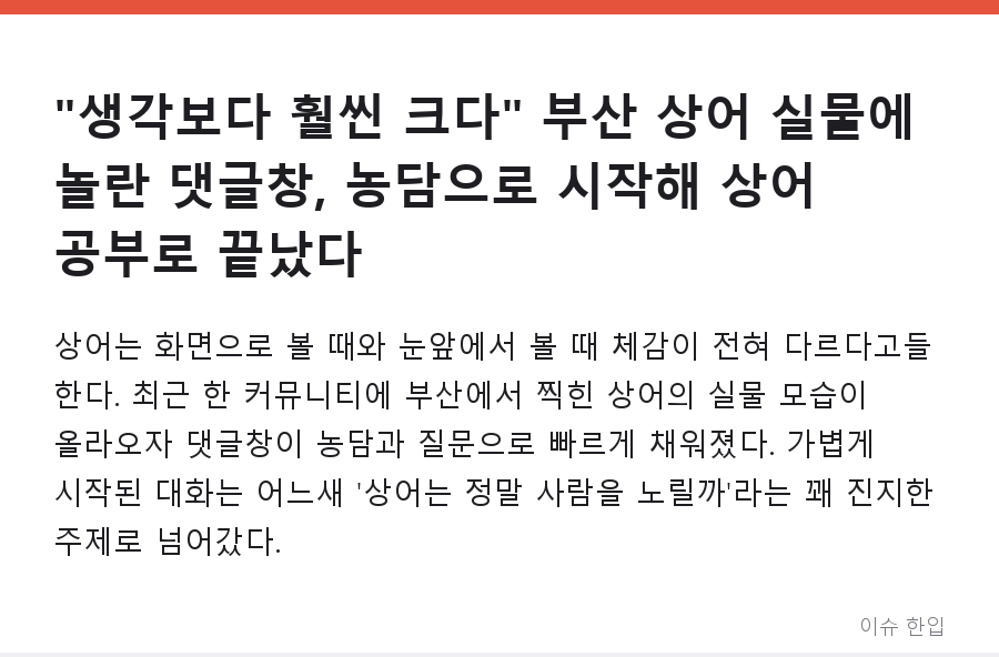 "생각보다 훨씬 크다" 부산 상어 실물에 놀란 댓글창, 농담으로 시작해 상어 공부로 끝났다 - 1/7