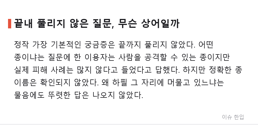 "생각보다 훨씬 크다" 부산 상어 실물에 놀란 댓글창, 농담으로 시작해 상어 공부로 끝났다 - 6/7
