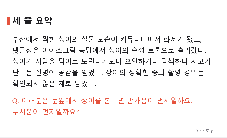 "생각보다 훨씬 크다" 부산 상어 실물에 놀란 댓글창, 농담으로 시작해 상어 공부로 끝났다 - 7/7