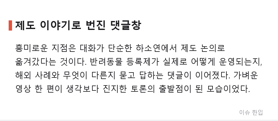 "이런 민원까지 받아야 하나" 공무원 재연 영상에 커뮤니티가 술렁인 이유 - 6/7